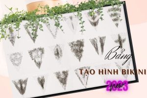 giá triệt lông bikini tạo hình giá triệt lông bikini tạo hình