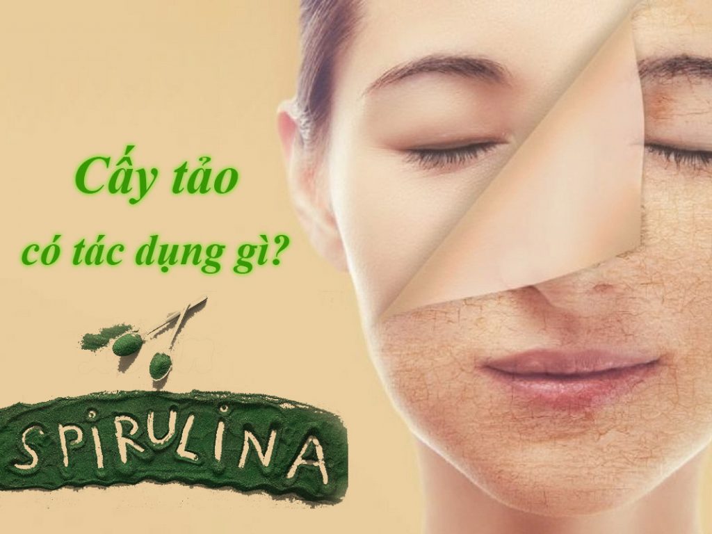 Cấy tảo có tác dụng gì?